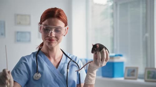 Animal Treatment Woman Veterinary Clinic Employee in Protective Glasses Holds Cute Rat in Her Hands