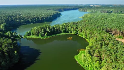 Flying above lake and forest in spring, Poland