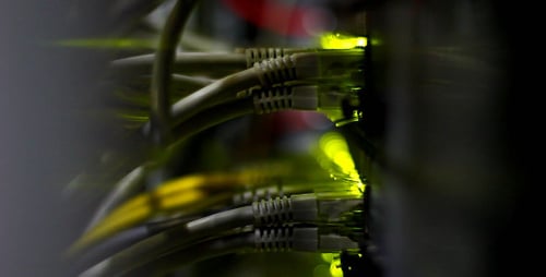 Network Cables Connected to Server with Blinking Lights