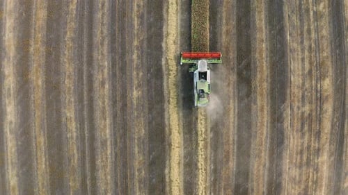 Aerial View of Combine Harvesters on Wheat Field
