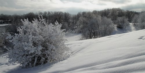 Sonniger Wintertag