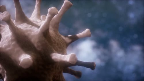 3D Animated Microscopic Virus Cell Rotation