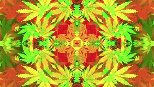 Psychedelic Cannabis Leaf Kaleidoscope Background Animation