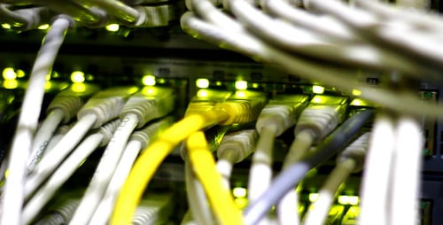 Network Cables Plugged into Server in Data Center