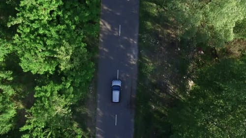 Top View Car Driving on Asphalt Road Past Green Trees Countryside