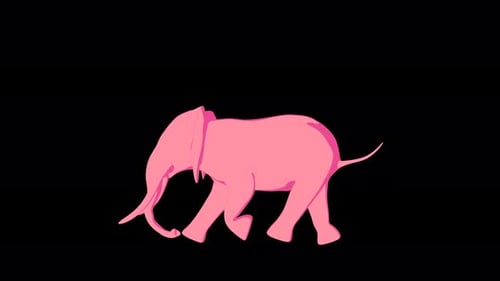 4K Baby Elephant Run