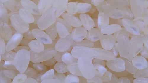Grains of Raw Rice Rotate