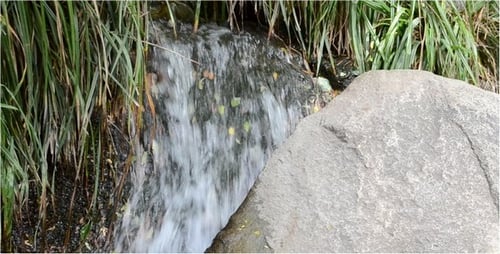 Mountain Stream