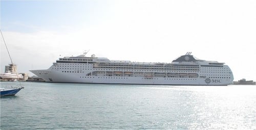 Large Cruise Ship Docked at Tropical Port on Sunny Day