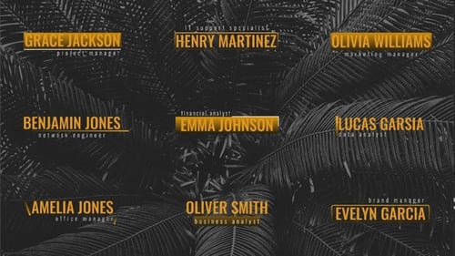 Business Lower Thirds | DR