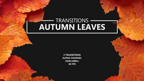 Übergänge mit fallenden roten Blättern im Herbst