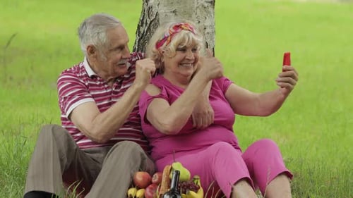 Family Weekend Picnic. Senior Old Grandparents Couple in Park Using Smartphone Online Video Call