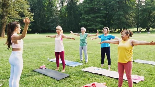 Women Exercise Together in a Sunny Urban Park