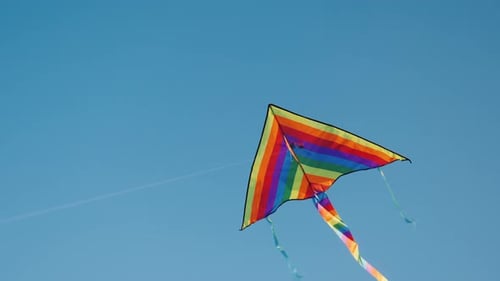 Kite Soars in the Blue Sky