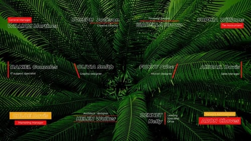 Títulos de texto simples | DR