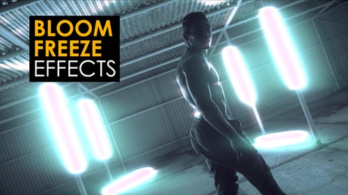 Bloom Freeze Effects | After Effects