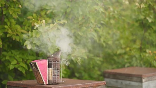 Smoker Tool Stands on Honey Bee Hive. Beekeeping Concept