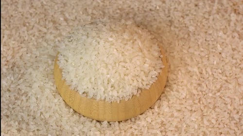 Raw rice grains, top view. White, Japanese rice on white background isolated. Studio light.