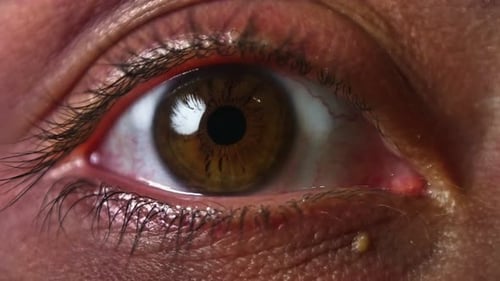 Eye Opens and Moves in Extreme Close Up