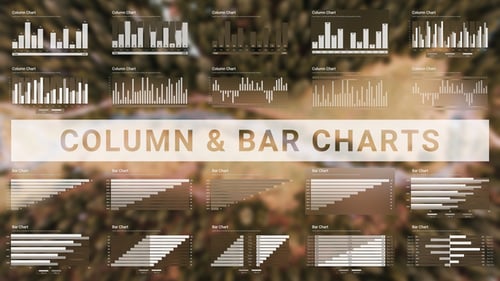 Column & Bar Charts