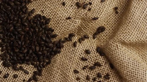 Tiro rotativo de cevada e outros ingredientes de fabricação de cerveja