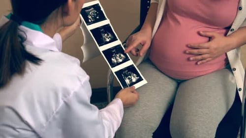 Pregnant Woman and Gynecologist Doctor at Hospital