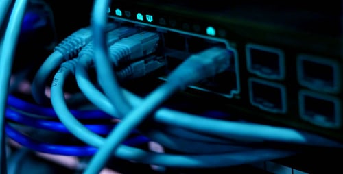 Server Hub with Blue and White Cords