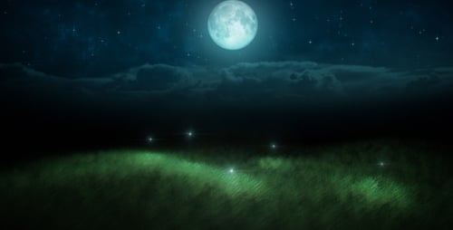 Fireflies loop