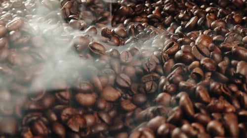 Steaming Pile of Roasted Coffee Beans