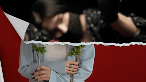 Paper Tear Transitions