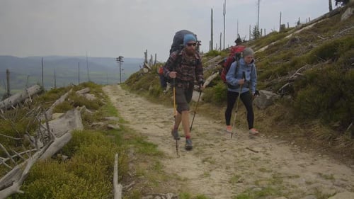 Hiking couple: two hikers (man and woman) walking together on the trail with backpacks