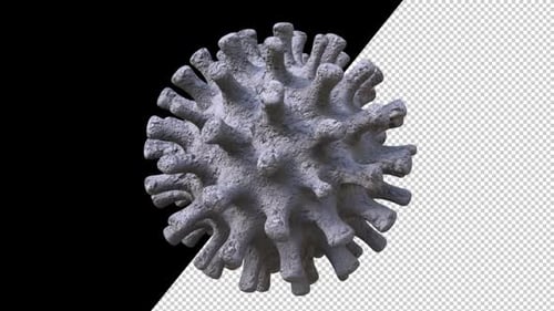 Rotating 3D Virus Cell with Alpha Channel for Scientific Animations