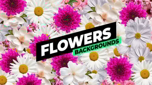 Flowers Backgrounds