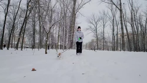Glückliches Mädchen mit Hund läuft im Parkwinter entlang