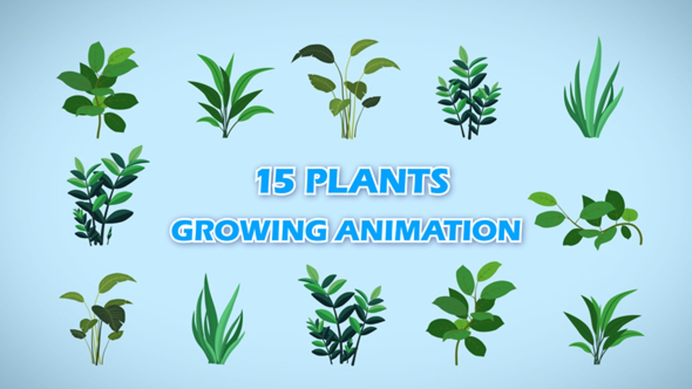Animated 2D Botanical Growing Plant Elements Collection, Elements ft ...