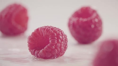 Raspberry Falls Down on Heap of Fresh Berries with Water Drops Slow Motion