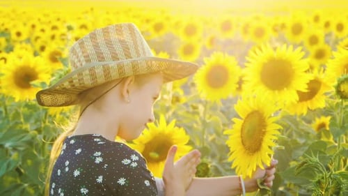 A Happy Little Girl in the Hat Is Smiling at the Field of Sunflowers at Sunset Time