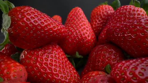 Fraises rouges mûres fraîches 04