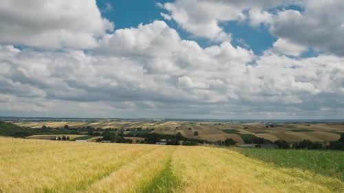 Agriculture Field and Blue Cloudy Sky