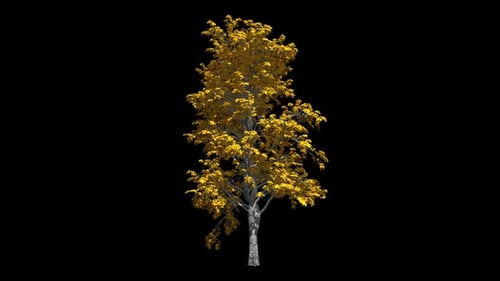 Realistic Autumn Tree with Swaying Yellow Leaves