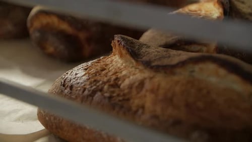 Golden Brown Artisan Bread Loaves Close Up