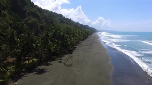 Virgin Unspoiled Caribbean Tropical Corcovado Beach