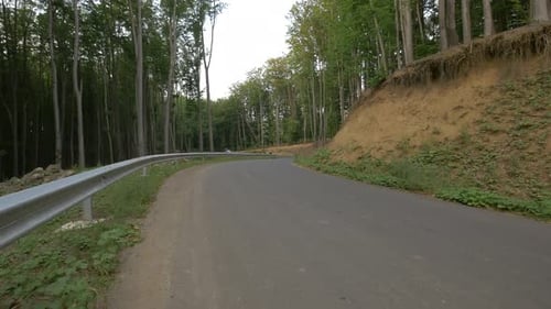 Three longboarders riding