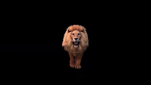 Vista frontal de Lion Walk