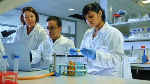 Scientists Working With Test Tubes in Lab