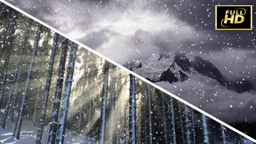 Realistic Snowfall Animated Overlay