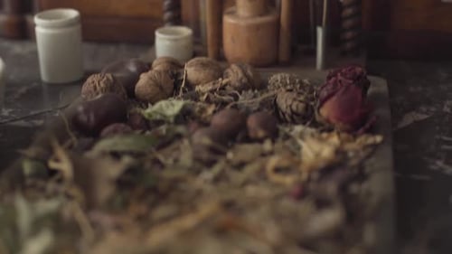 Vintage Laboratory Still Life with Herbs and Glassware