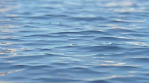 Gentle Waves Rippling on a Blue Water Surface