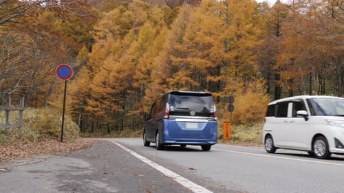 Auto auf der Straße im Herbst