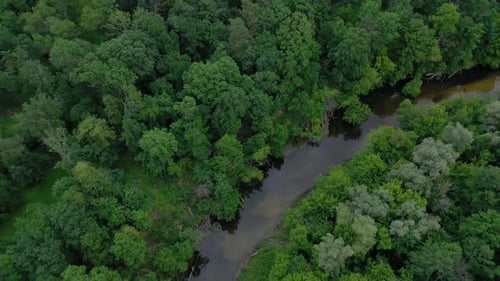 Aerial View of the Beautiful Landscape the River Flows Among the Green Deciduous Forest